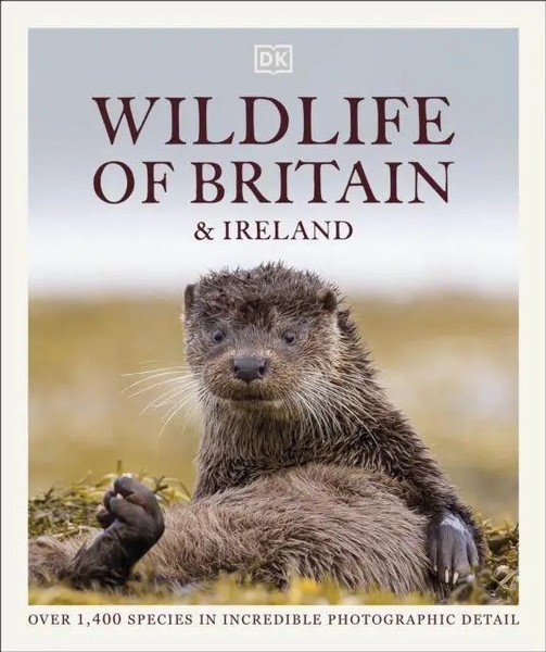 Wildlife Of Britain And Ireland | Dk | Buch | Gebunden | Englisch | 2022-image