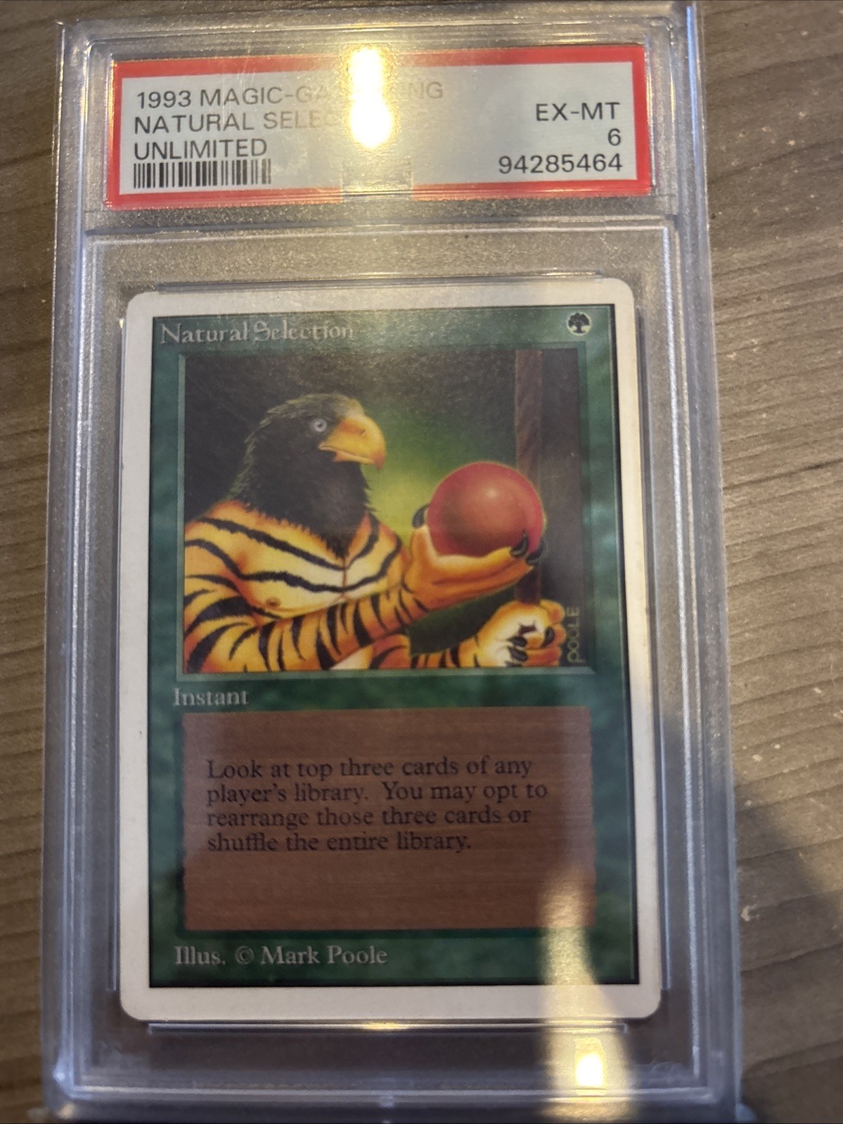 Natural Selection MTG Unlimited Edition Magic the Gathering LP