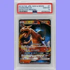 Pokemon Japanese Charizard GX Holo 007/024 Detective Pikachu PSA 10 Gem Mint
