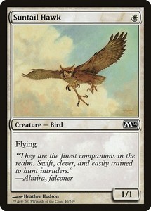 Suntail Hawk - Magic 2014 (M14) #40 Common
