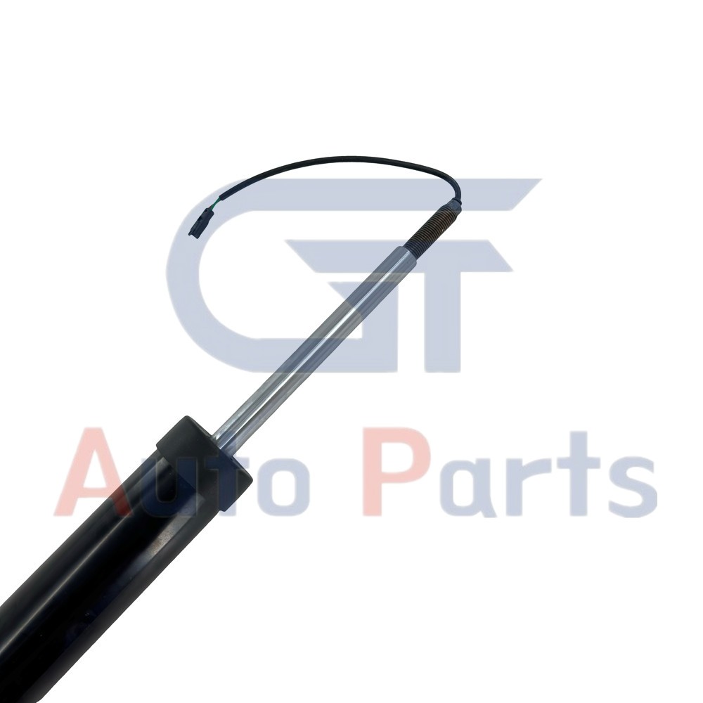 Maserati Quattroporte S Q4 2013-2017 Rear Left Shock absorbers Pair P/N 84677093