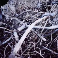 Tarentel : Big Black Square (CD) Album - New and Sealed