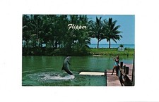 AK Ansichtskarte Flipper / Seaquarium Miami / USA