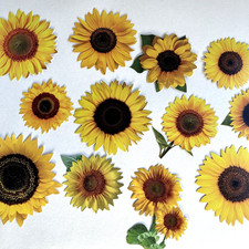 Paper House Sunflower Large Die Cut Cardstock Stickers Journal Collage