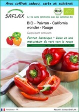 SAFLAX Kit cadeau - BIO - Poivron - California wonder - Rouge - 20 graines - Cap