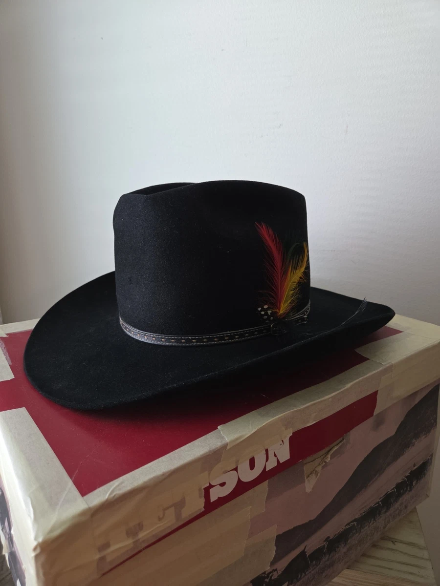 Stetson Beaver Vintage Hats for Men for sale | eBay