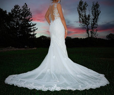 Davids Bridal V neck, mermaid, lace tattoo size 2Wedding Dress