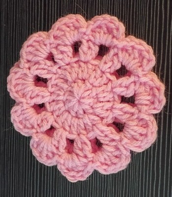Crochet Coaster Set of Two Ten different colors  Send Me  Your  Color Choice