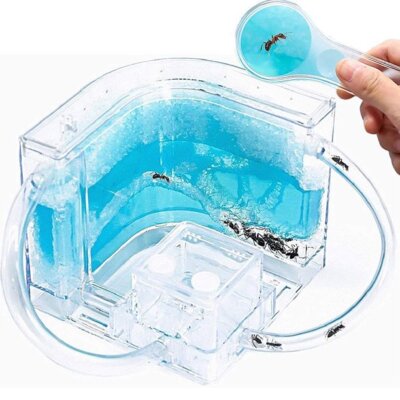 3D Ant Farm Insect Nest Villa Pet House Blue Feeding System Science Educational