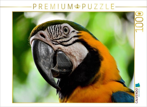 Calvendo Puzzle Parrot | 1000 Pieces, Finished Size 25.2 × 18.9 In (64 × 48 Cm)-image