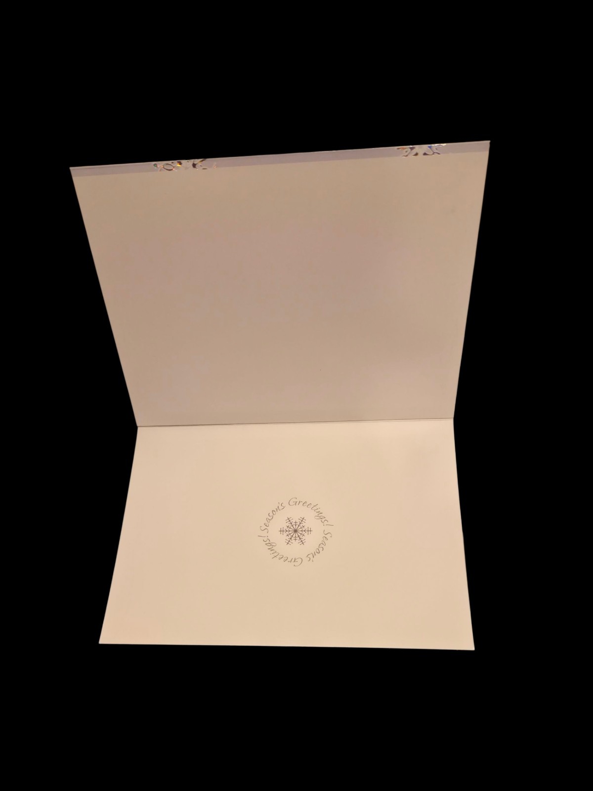 Seasons Greetings 18 Deluxe Desiginer Holiday Photo Insert Cards  Foil Envelopes