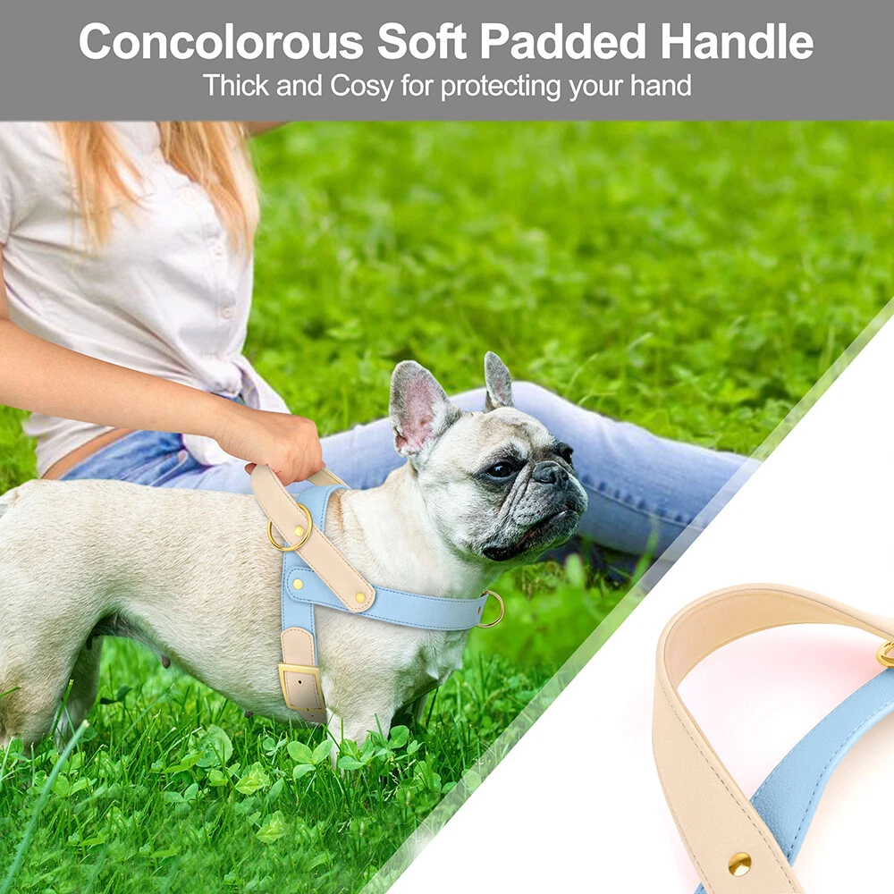 Dog Harness Soft Leather with Handle for Pet Walking Adjustable Front Leading