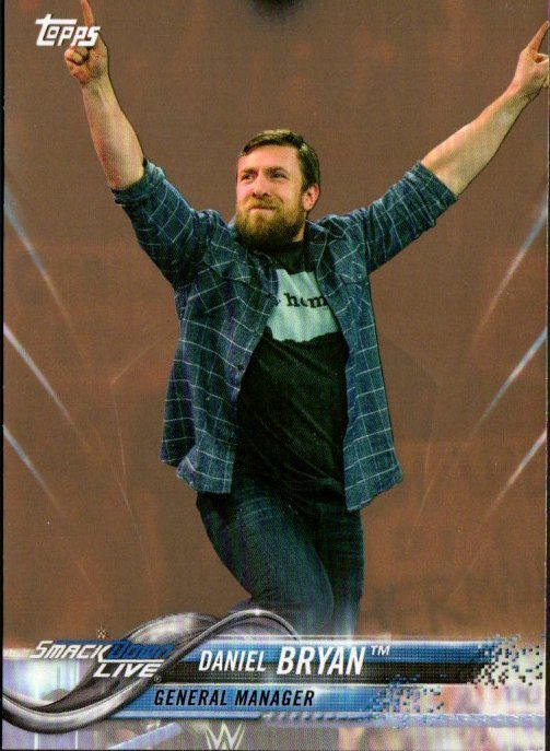 2018 Topps WWE Wrestling Card Insert Bronze Parallel #28 Daniel Bryan