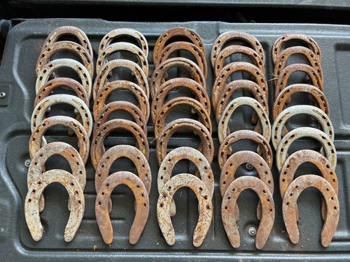 40 Used Steel Horse Shoes NR Free Shipping