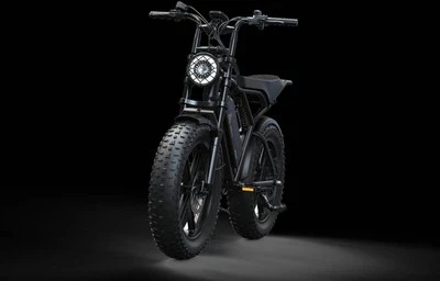E BIKE Elektrofahrrad, Elektro Fat Bike 750W