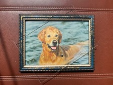 Photo Frame Glass Replacement Perspex Acrylic NOT GLASS [6x4 7x5 8x6 9x7 10x8]