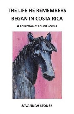 The Life He Remembers Began in Costa Rica: A Collection of Found Poems (Paperbac