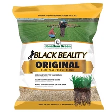 Jonathan Green Black Beauty Tall Fescue Grass Sun or Shade Grass Seed 5 lb
