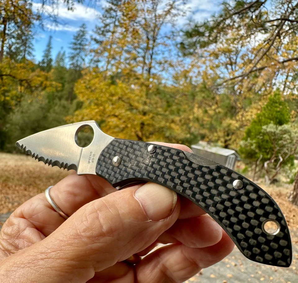 RARO ORIGINAL C28CFS - Libélula - Fibra de Carbono CFS NEGRO FIBRA DE CARBONO ESCALAS Foto 4 de 4