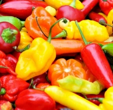 HOT PEPPER SEEDS MIX 50+ jalapeno HABANERO cayenne ANAHEIM cherry SANTA FE