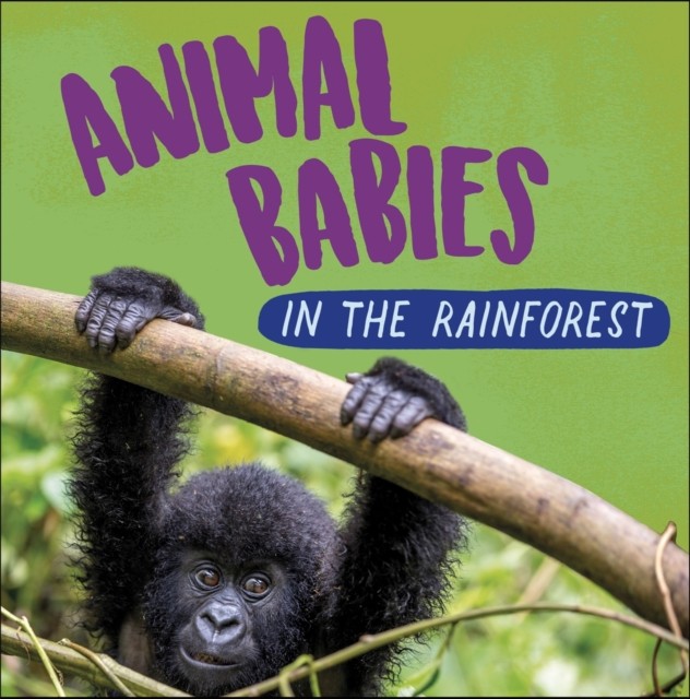 Animal Babies In The Rainforest