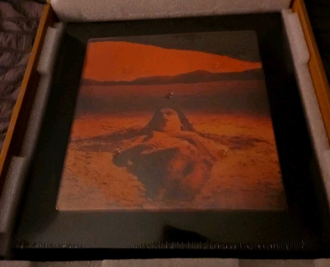 Alice In Chains Dirt 30th Anniversary Deluxe Box Set Limited XX/3000 (sold out)