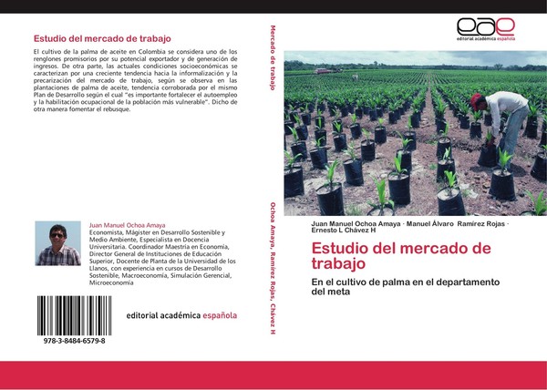Estudio Del Mercado De Trabajo Juan Manuel Ochoa Amaya-image