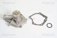 Triscan Wasserpumpe 8600 43006 FüR Hyundai KIA