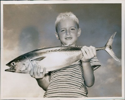 1959 Richard Riley Bonito Farms Merit Award Fish Miami Herald Fl Photo 8X10