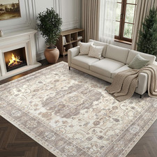 8X10 Area Rugs for Living Room: Washable Vintage Soft Thin Area Rug Stain Resist