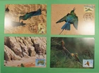 DR WHO TAIWAN CHINA 4 FDC BIRD MAXIMUM CARD R41630