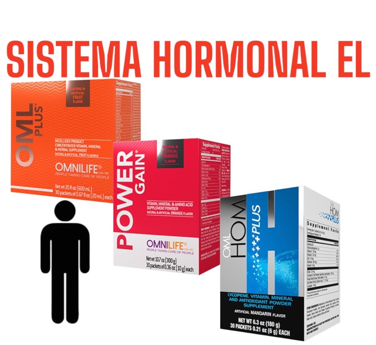 Pack for male hormonesOML Hom Plus + Power Gain + OML Plus
