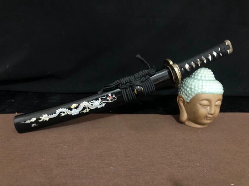 Espada Corta Tang Tanto Katana Samurai 1095 Acero Hoja Brillante Lista para Batalla - Imagen 10 de 10