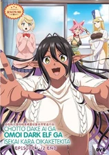DVD Anime Uncut Chotto Dake Ai Ga Omoi Dark Elf... (1-12 End) English Subtitle