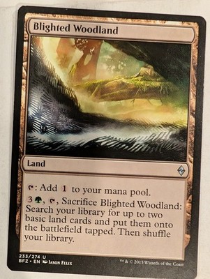 Blighted Woodland - Battle for Zendikar - Magic the Gathering MTG Nice!