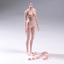 Stock 1/6 Pale Skin Large Breast Bust flexible Female Action Figure Body Toy