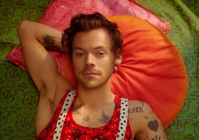 Kleines A6 Harry Styles Poster (nagelneu)