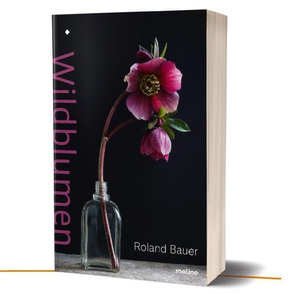 Thumbnail - Wildblumen | Roland Bauer | Deutsch | Buch | 173 S. | 2020 | Molino