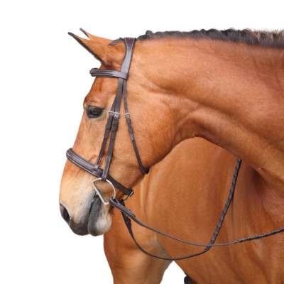 Shires Avignon Wellington Bridle - Havana