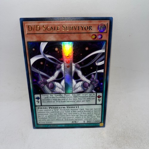 D/D Scale Surveyor BLMM-EN042 card