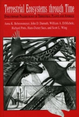 Anna K. Behrensmeyer John D. Damuth Willi Terrestrial Ecosy (Gebundene Ausgabe)