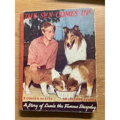 The Sun Comes Up Lassie Vintage Childrens Book Ward Lock Dog Story