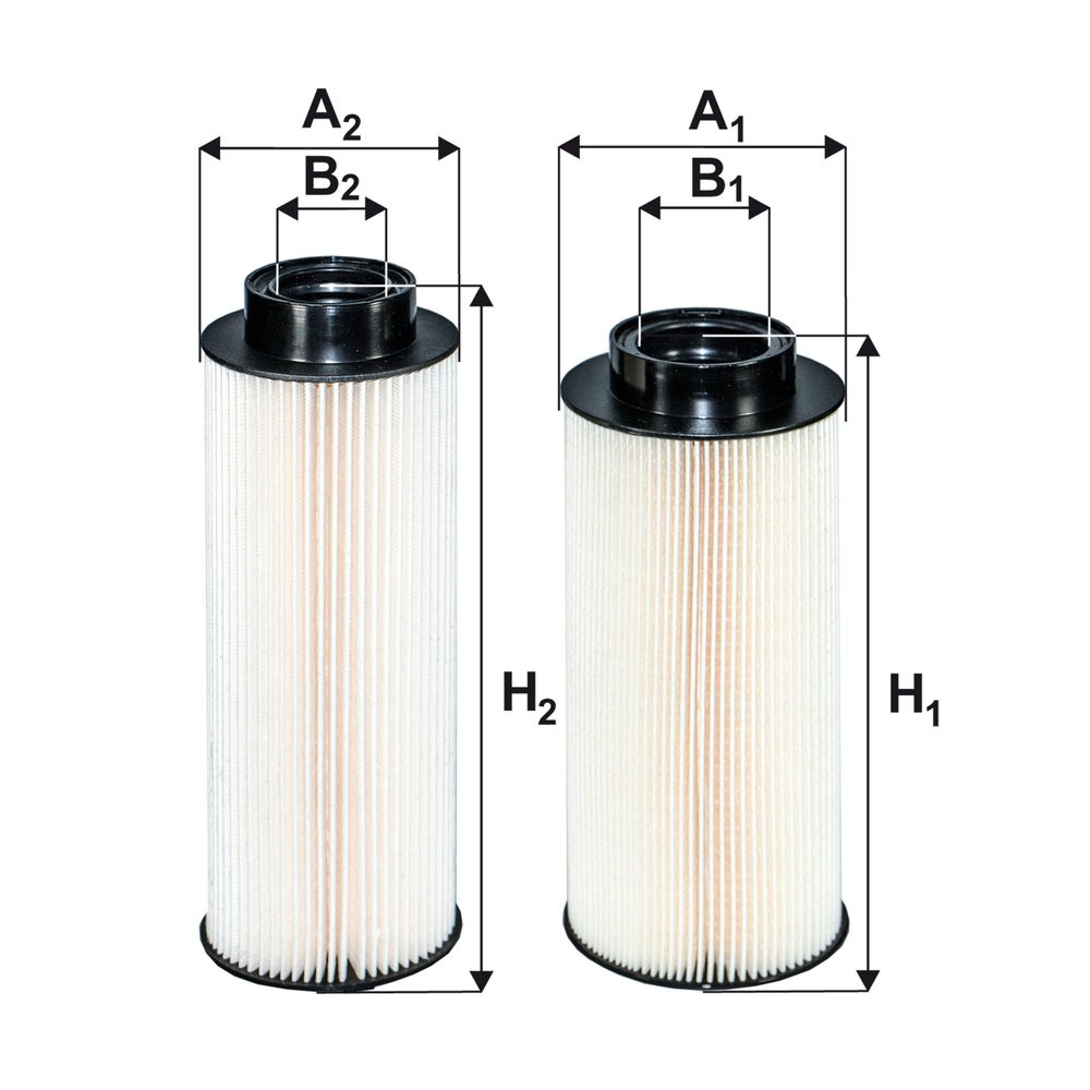 Fits FILTRON PE 983/2-2X FUEL FILTER