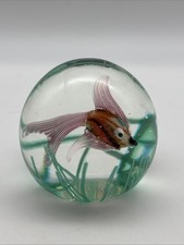 Vintage Murano Art Glass Paperweight Fish w/ Seaweed 3.5" Tall Italy Hand Blown