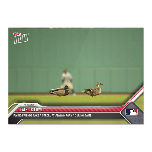 2023 Topps Now 144 FAIR OR FOWL?