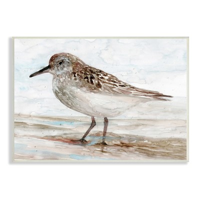 Stupell Sandpiper Painting Speckled Feather Beach Bird