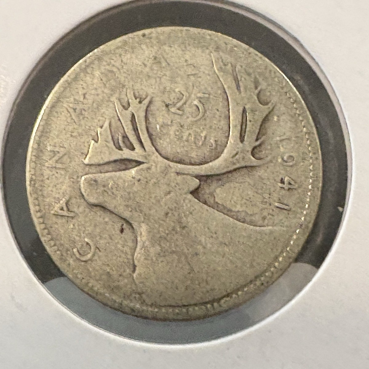 【廃盤激レア品】wantkey camp WANTKEY EW LOWER 廃盤激レア品】wantkey camp WANTKEY EW LOWER WANTKEYCAMP>WANTKEY EW