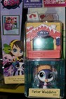 Littlest Pet Shop Parker Waddleton #3823 Style Set From Hasbro Free Shipping