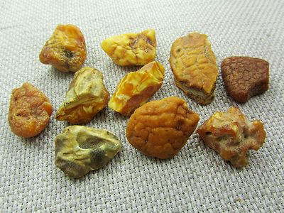 Lot of 10 Natural Rare Drops Genuine Baltic Amber Stones Nuggets 28.50 grams 