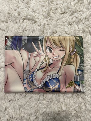 Fairy Tail PS4 Guild Box Fabric Poster Original Illustration